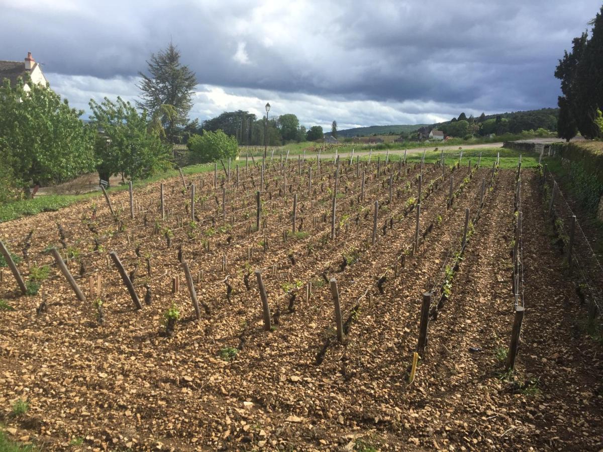 Les Hauts de Fixin, 50m2 avec extérieur sur la Route des Grands Crus, Dijon Sud Esterno foto
